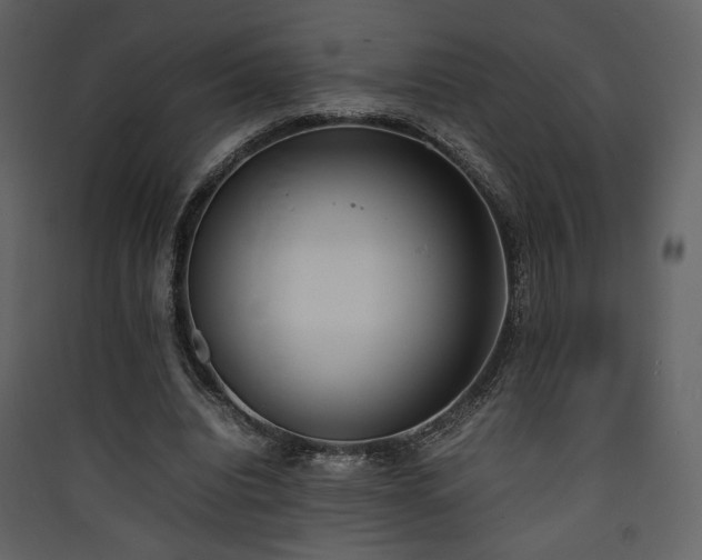 X0000090410440200707131151