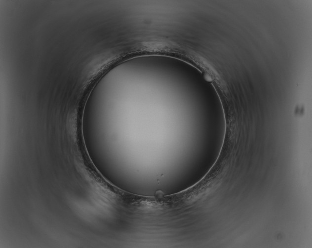 X0000090410442200707131151
