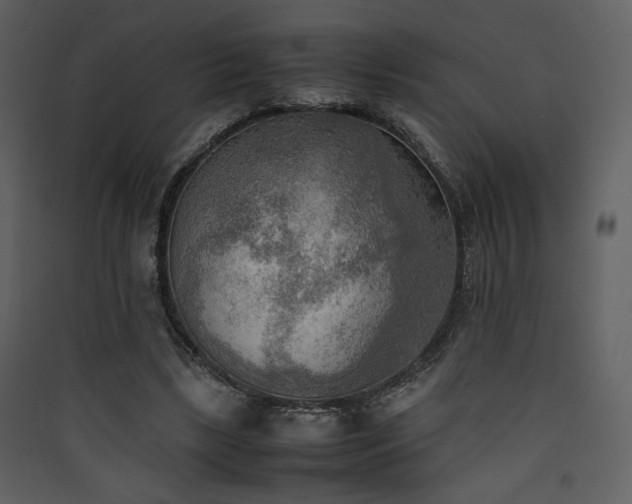 X0000090410443200707131151