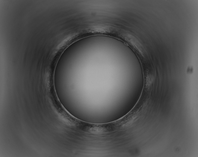 X0000090410444200707131151
