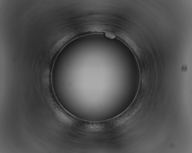 X0000090410445200707131151