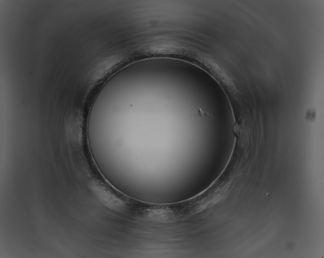 X0000090410446200707131151