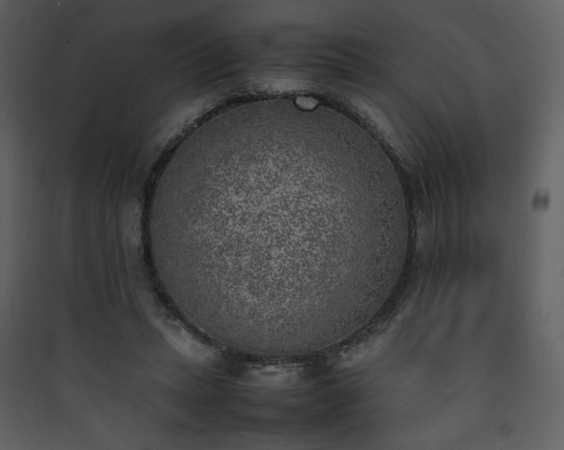 X0000090410447200707131151