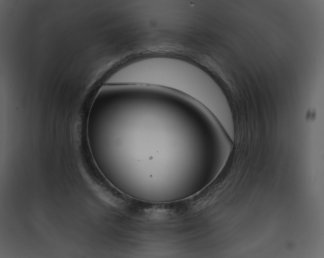 X0000090410448200707131151