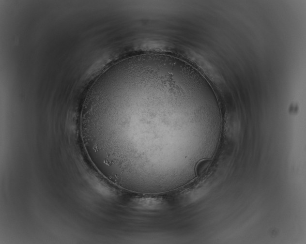 X0000090410449200707131151