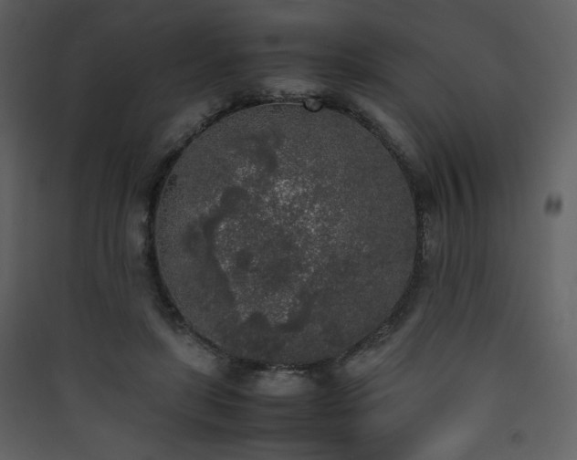 X0000090410451200707131151