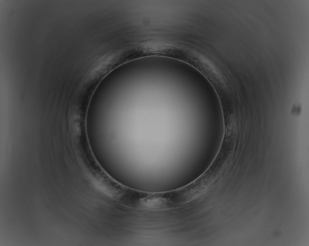 X0000090410452200707131151
