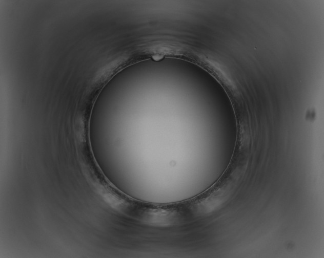 X0000090410453200707131151