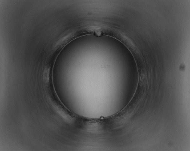 X0000090410454200707131151