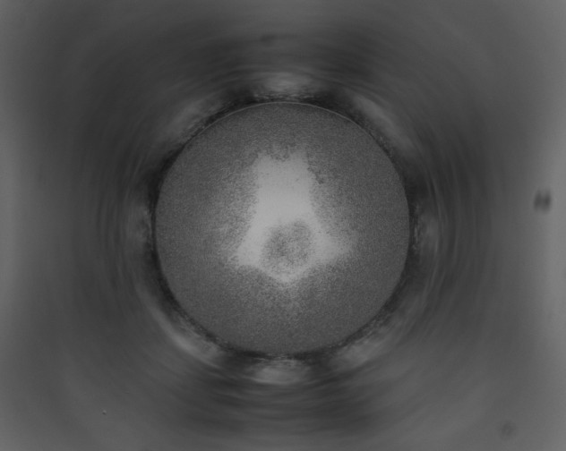 X0000090410459200707131151