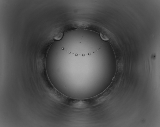 X0000090410460200707131151