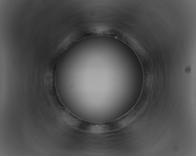 X0000090410461200707131151