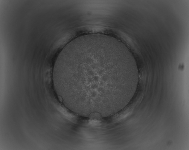 X0000090410462200707131151