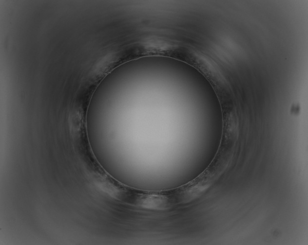 X0000090410463200707131151