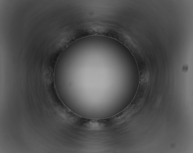 X0000090410464200707131151