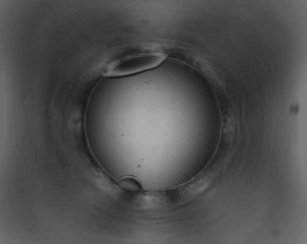 X0000090410466200707131151