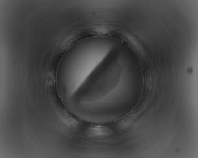 X0000090410467200707131151
