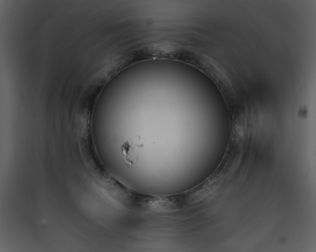 X0000090410468200707131151