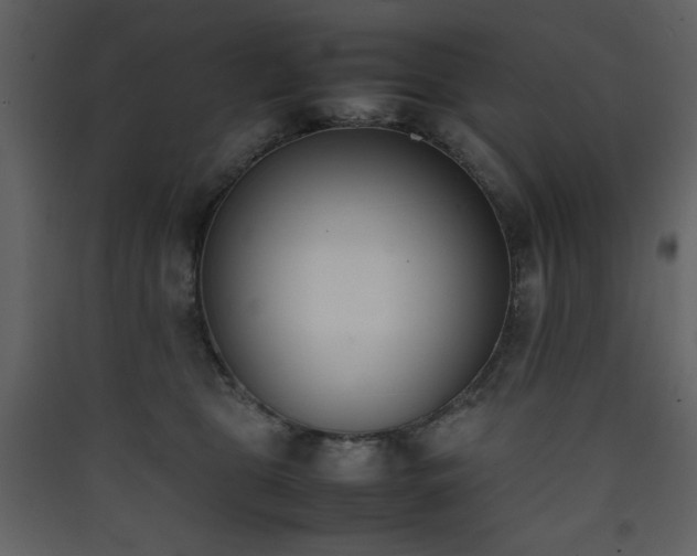 X0000090410469200707131151
