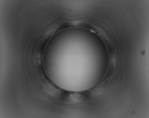 X0000090410470200707131151