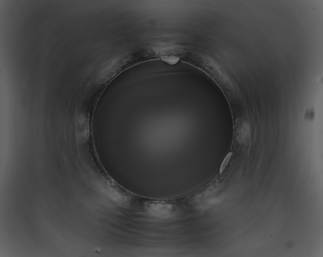 X0000090410471200707131151