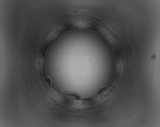 X0000090410473200707131151