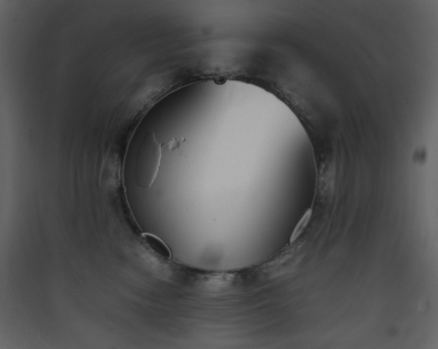 X0000090410474200707131151