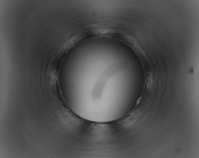 X0000090410476200707131151