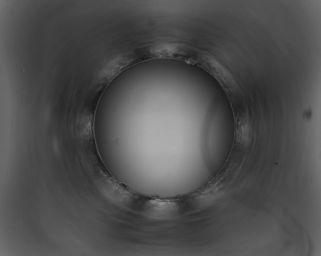 X0000090410477200707131151