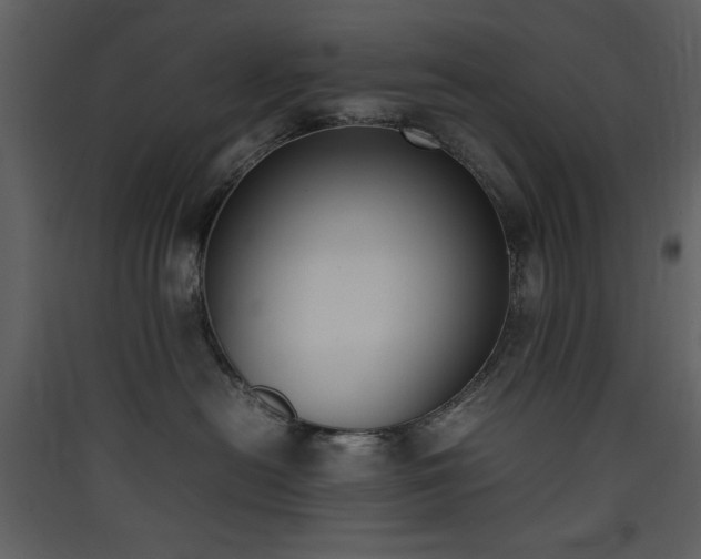 X0000090410478200707131151