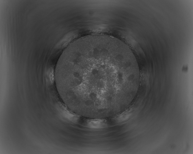 X0000090410479200707131151