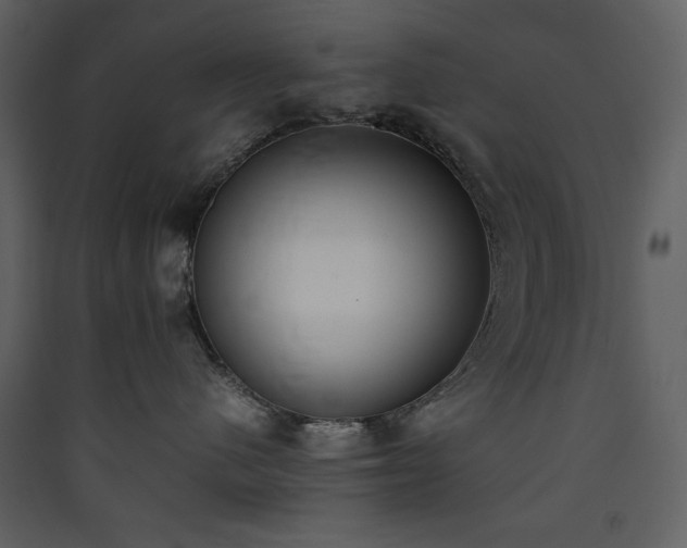 X0000090410480200707131151