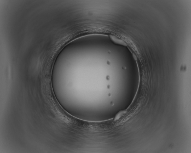 X0000090410481200707131151
