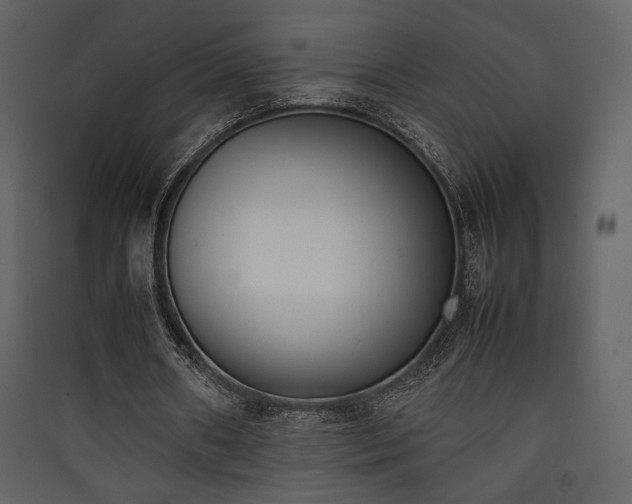 X0000090410482200707131151