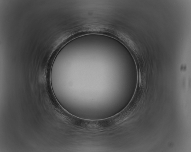X0000090410483200707131151