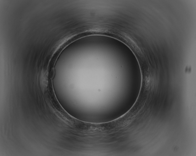 X0000090410484200707131151