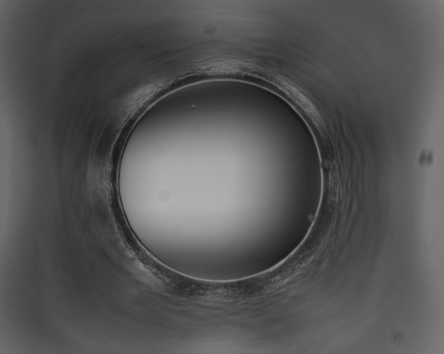 X0000090410485200707131151