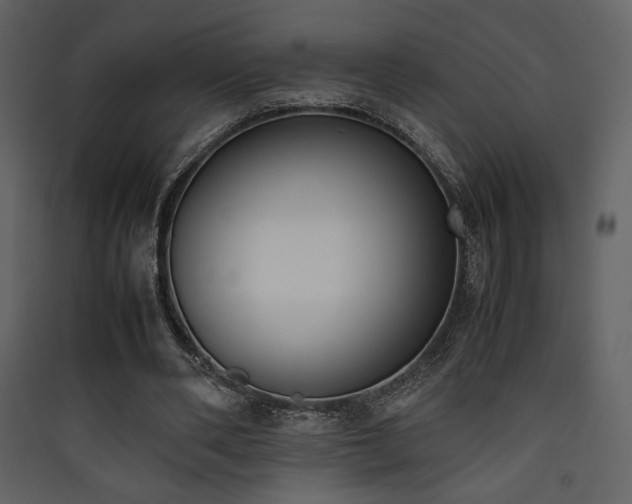 X0000090410486200707131151
