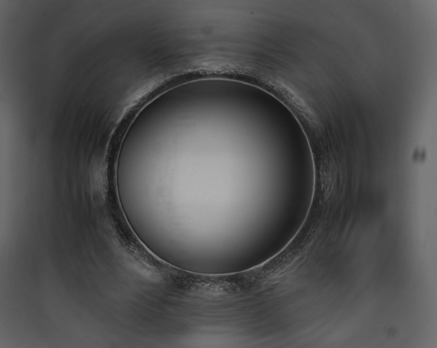 X0000090410488200707131151