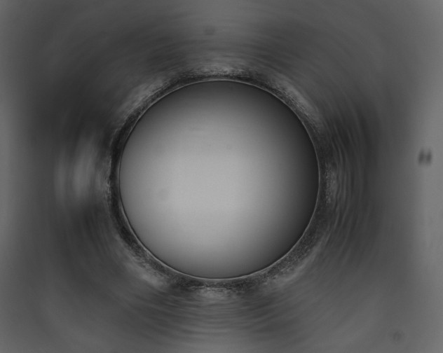X0000090410490200707131150