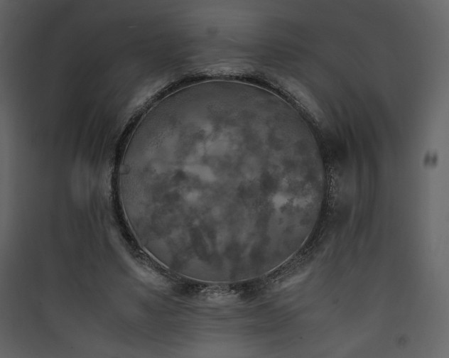 X0000090410491200707131150
