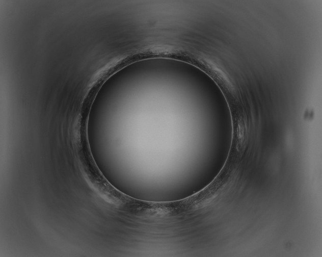 X0000090410492200707131150