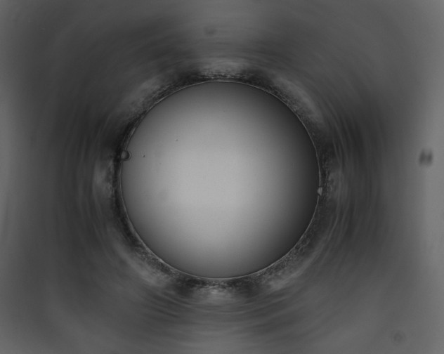 X0000090410498200707131150