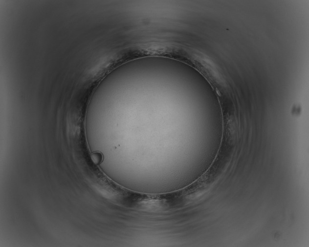 X0000090410499200707131150