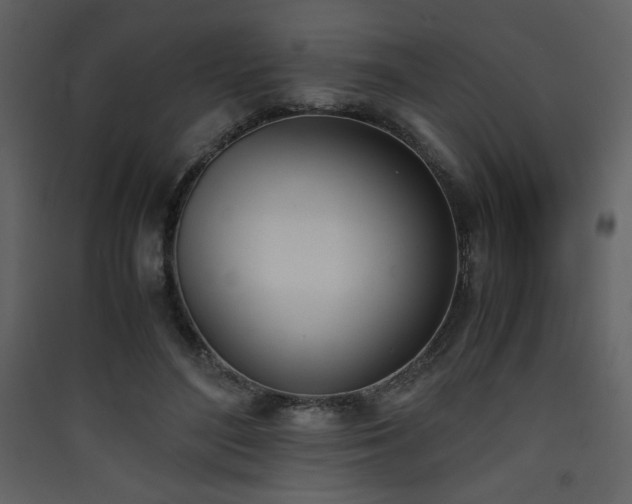 X0000090410500200707131150