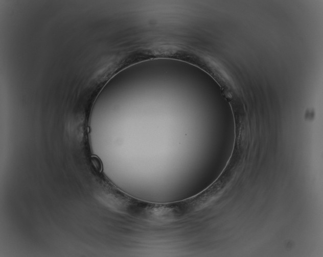 X0000090410501200707131150