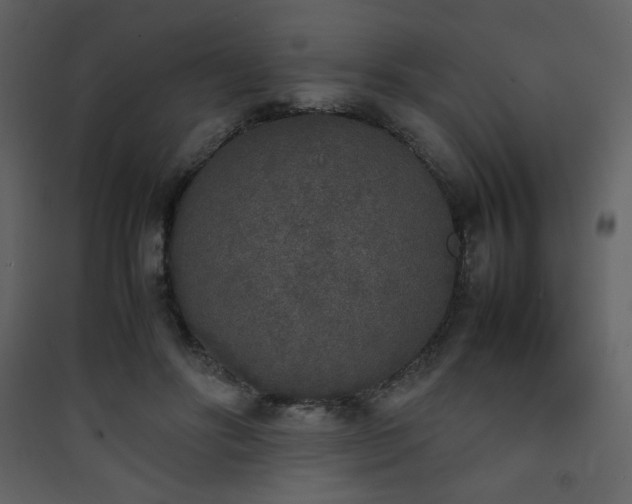 X0000090410502200707131150