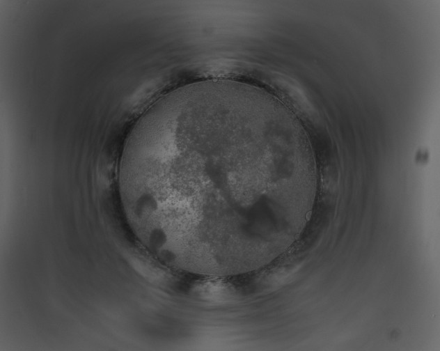 X0000090410503200707131150
