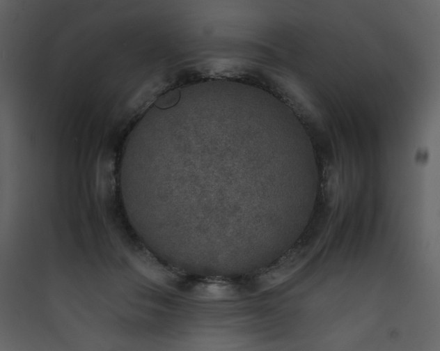 X0000090410506200707131150