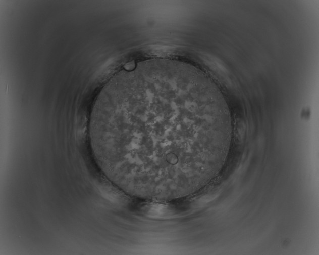 X0000090410507200707131150